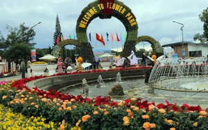 Kết nối các vùng du lịch Lâm Đồng ngàn hoa - biển xanh và đại ngàn