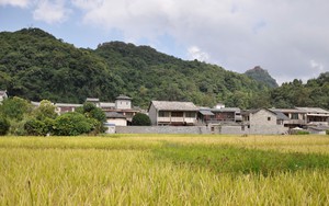 Nông thôn Trung Quốc chuyển mình nhờ du lịch xanh