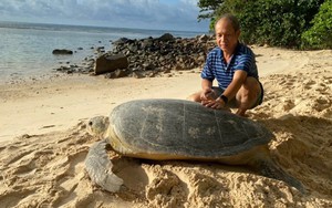 Du lịch gắn với bảo tồn: Côn Đảo phát triển bền vững từ rùa biển