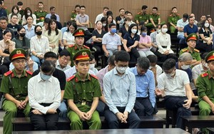 Chủ tịch Tập đoàn Phúc Sơn bị tuyên phạt 30 năm tù