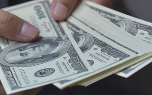 Đồng USD tăng giá sau hai tuần giảm liên tiếp