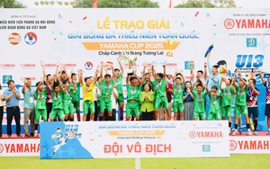 Bóng lăn trong tuần: Thành Nam lên ngôi