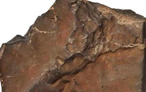 Khối đá Sao Hỏa lớn nhất từng tìm thấy trên Trái Đất đạt mức giá kỷ lục