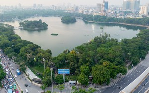 Cây xanh Hà Nội: Kiến tạo bản sắc đô thị từ bóng mát và ký ức