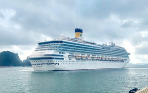 Không giới hạn số tàu du lịch: Quảng Ninh mở cơ chế, doanh nghiệp lo quá tải