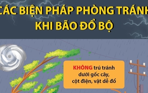 Các biện pháp phòng tránh khi bão đổ bộ