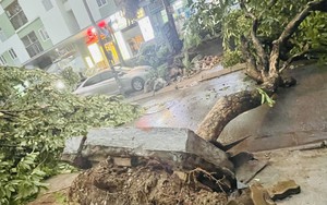 Nhiều cây xanh, công trình dân dụng bị hư hại do mưa dông