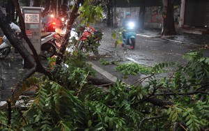 Bộ VHTTDL yêu cầu các đơn vị tập trung ứng phó với bão số 3 năm 2025