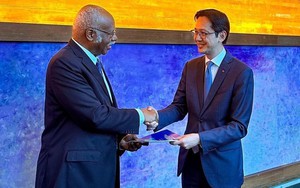 Lưu hành bản dịch tiếng Việt của “Văn kiện vì Tương lai” và góp phần thúc đẩy đa ngôn ngữ tại LHQ