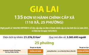 Thông tin chi tiết sắp xếp các đơn vị hành chính cấp xã của tỉnh Gia Lai: 25 phường