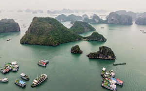 Tạm dừng toàn bộ tour du thuyền Hạ Long để tránh bão