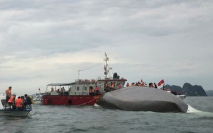 Vụ lật tàu trên vịnh Hạ Long: Lời cảnh tỉnh đắt giá!