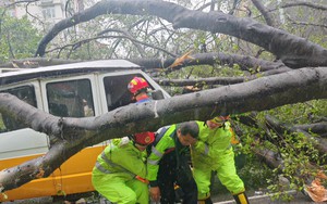 Bão Wipha “càn quét” Trung Quốc: Giao thông tê liệt, kinh tế thiệt hại nặng