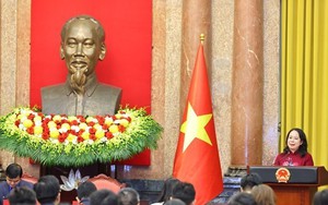 Phó Chủ tịch nước gặp mặt đại biểu tham gia Diễn đàn Trí thức trẻ Việt Nam toàn cầu