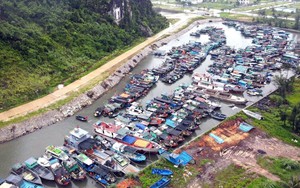 Quảng Ninh đưa tàu thuyền về nơi tránh trú an toàn, sẵn sàng ứng phó bão số 3