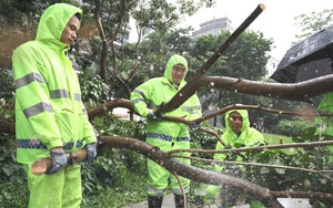 Trung Quốc triển khai nhiều biện pháp ứng phó bão Wipha