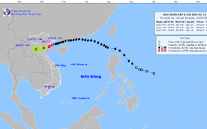 Bão số 3 nằm trên đất liền ven biển giữa Hưng Yên và Ninh Bình