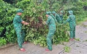 Bão số 3: Quảng Ninh khắc phục hậu quả sau khi bão đi qua