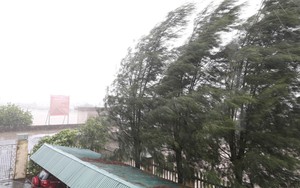 Nguyên nhân vì sao bão số 3 có nơi giảm mưa, hửng nắng