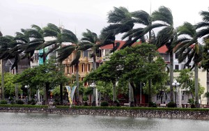 Bão số 3: Hưng Yên có mưa to, gió lớn