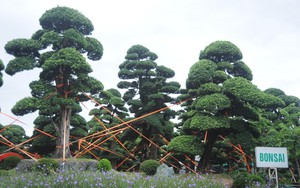 Bão số 3: Người dân Hà Nội chủ động ứng phó bão