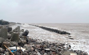 Bão số 3: Ninh Bình kiểm tra các tuyến đê biển trọng yếu trên địa bàn