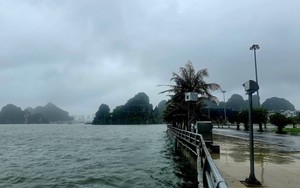 Chỉ đạo của Ban Bí thư về việc ứng phó với cơn bão số 3 Wipha