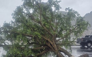 Dự báo bão số 3 vào đất liền rồi suy yếu nhanh, gây mưa lớn diện rộng