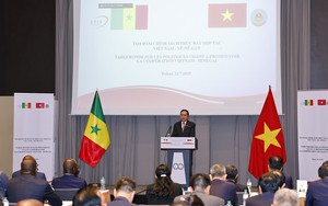 Hợp tác Việt Nam - Senegal: Tọa đàm chính sách thúc đẩy hợp tác song phương