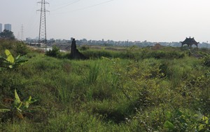 Góc nhìn 365: Khi Vườn Chuối được "gọi tên"