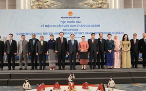 Kỷ niệm 30 năm Việt Nam tham gia ASEAN