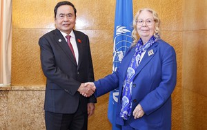 Chủ tịch Quốc hội Trần Thanh Mẫn gặp Tổng Giám đốc Văn phòng LHQ tại Geneva
