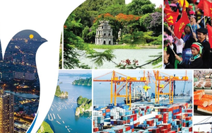 Phê duyệt Đề án tổ chức Triển lãm thành tựu Đất nước kỷ niệm 80 năm Ngày Quốc khánh