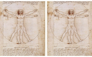 Bí mật ẩn giấu trong kiệt tác “Người Vitruvius” của Leonardo da Vinci