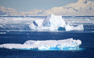 Băng Nam Cực tan nhanh kỷ lục do nước biển mặn bất thường
