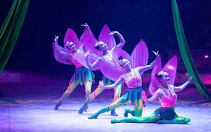 Xiếc Việt nỗ lực khẳng định vị thế trên đấu trường quốc tế