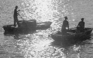 Cuộc sống sau ống kính: Dữ dội và dịu êm…