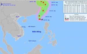 Dự báo thời tiết ngày 5/7: Áp thấp nhiệt đới đã mạnh lên thành cơn bão số 2