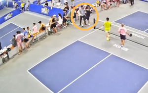 Video VĐV pickleball dùng vợt đánh trọng tài trên sân khiến cộng đồng mạng bất ngờ
