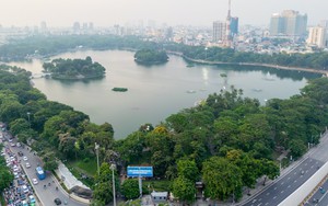 Những "Lá phổi xanh" giữa lòng đô thị