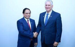 Thủ tướng Phạm Minh Chính hội kiến Chủ tịch Cuba Miguel Diaz Canel