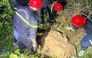 Một du khách tử vong vì tai nạn khi chơi dù lượn