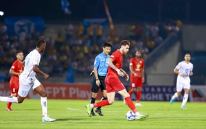 Ninh Bình ký hợp đồng với ngoại binh Brazil, xúc tiến nhập tịch