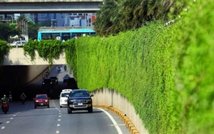 Thủ tướng yêu cầu phát động phong trào toàn dân chung tay bảo vệ môi trường