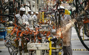 Đối phó với thuế quan Mỹ, Brazil chi mạnh cứu doanh nghiệp