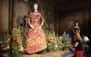  Lễ hội Hoa Brussels 2025: "Nơi hoa dệt gấm thêu hoa"