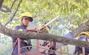 Bộ Nông nghiệp và Môi trường yêu cầu chủ động ứng phó thiên tai