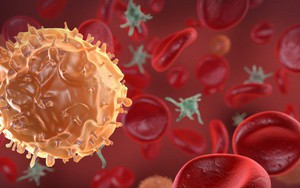 Nhà khoa học tạo ra “lồng nano” tấn công tế bào ung thư từ bên trong