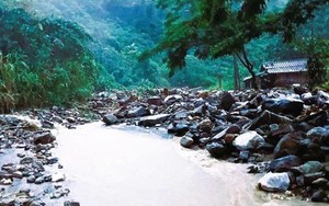 Từ Quảng Ninh đến An Giang chủ động ứng phó với vùng áp thấp có khả năng mạnh lên