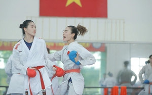 Chỉ tiêu của Thể thao Việt Nam tại SEA Games 2025